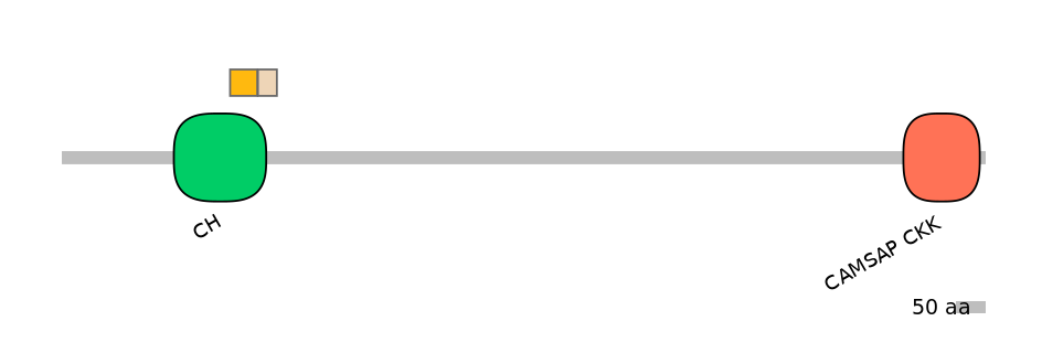 DreINT0040928-EXC