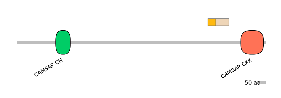DreINT0040933-EXC