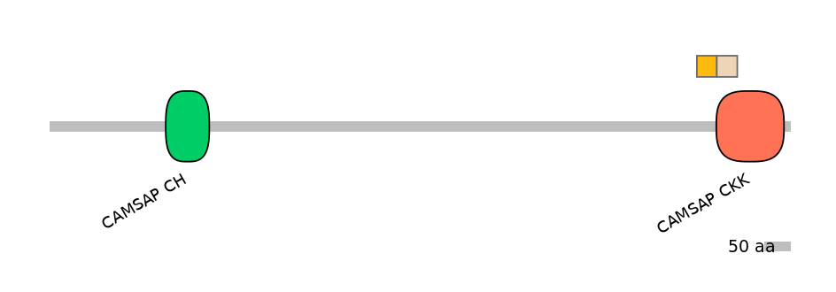 DreINT0040936-EXC