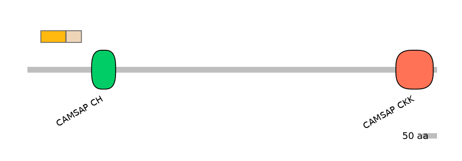 DreINT0040938-EXC