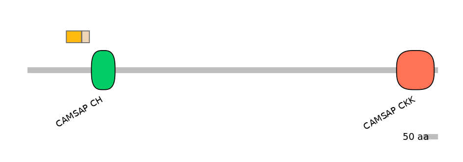 DreINT0040939-EXC