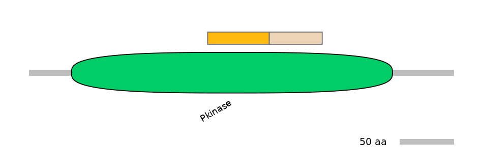 DreINT0044430-EXC