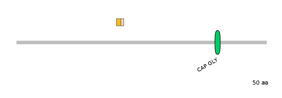 DreINT0045184-EXC