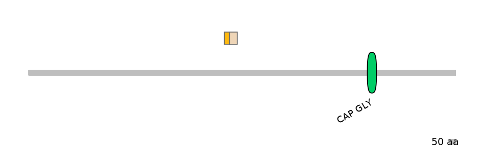 DreINT0045189-EXC