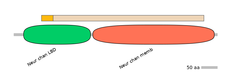 DreINT0046727-EXC