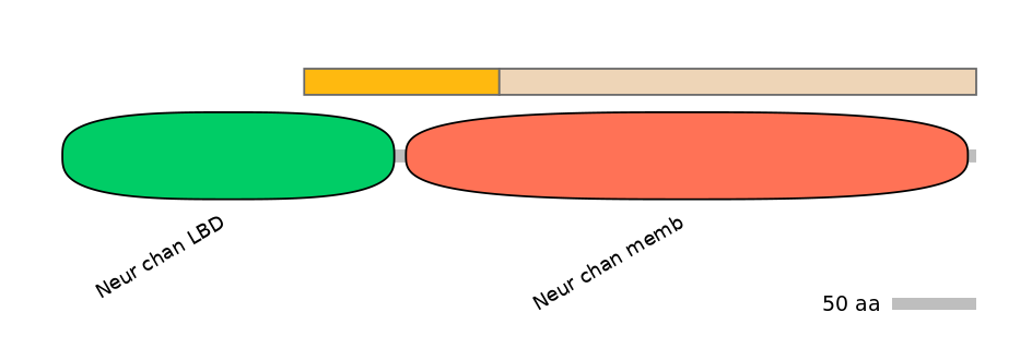 DreINT0046753-EXC