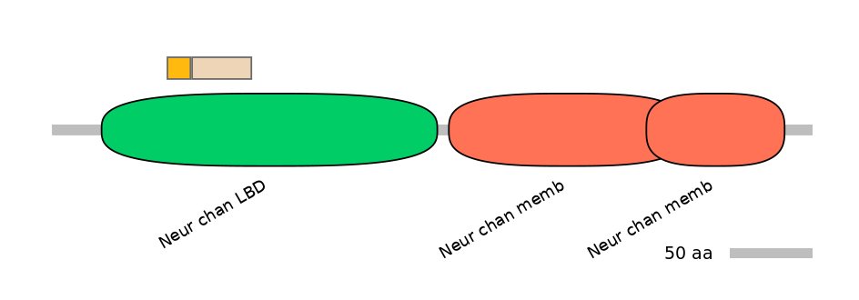 DreINT0046788-EXC