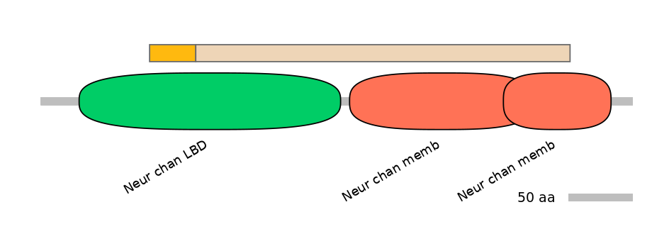 DreINT0046789-EXC