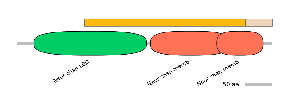 DreINT0046790-EXC