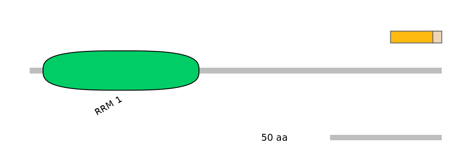 DreINT0047003-EXC