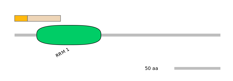 DreINT0047004-EXC