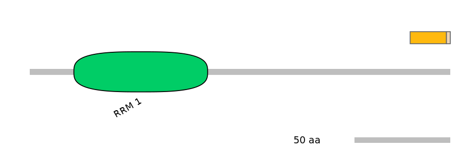 DreINT0047009-EXC