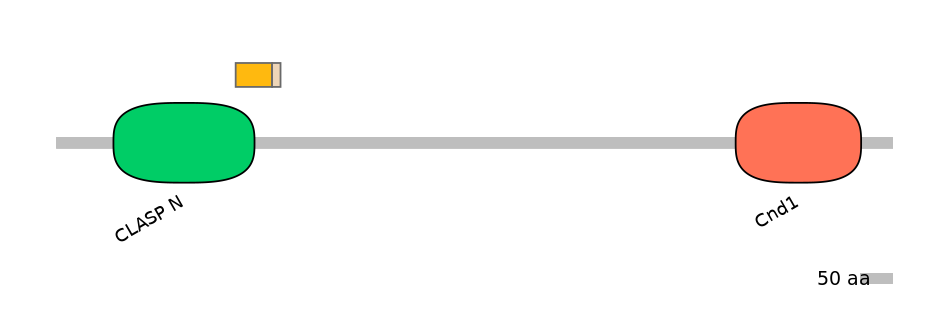 DreINT0047206-EXC