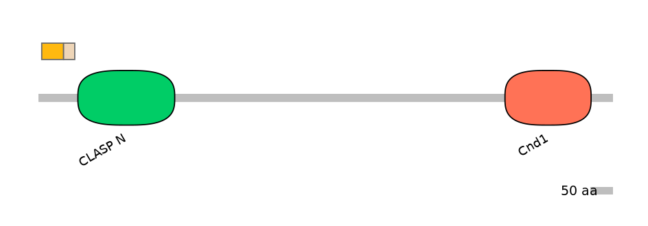 DreINT0047224-EXC