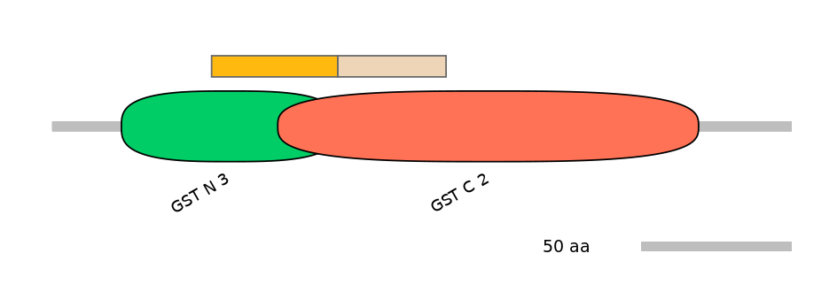 DreINT0047543-EXC