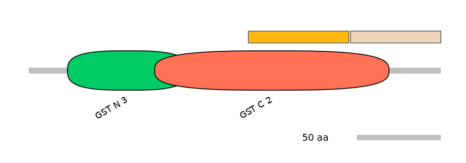 DreINT0047545-EXC