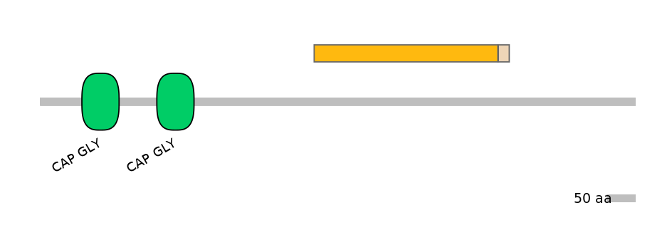 DreINT0047575-EXC