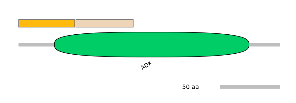 DreINT0048059-EXC