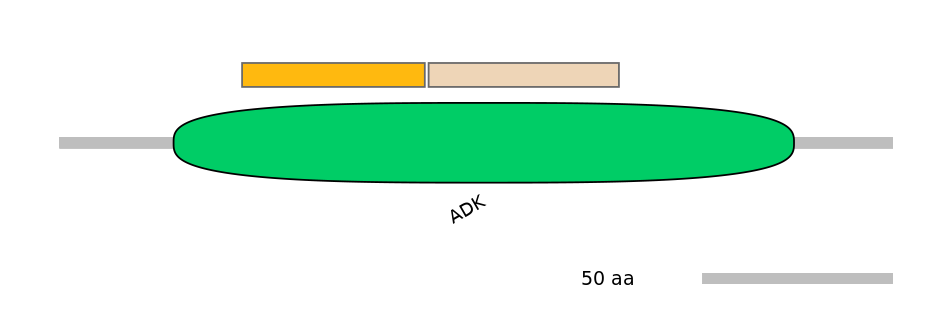 DreINT0048060-EXC