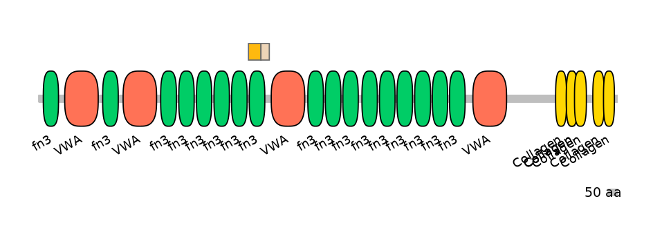 DreINT0049038-EXC