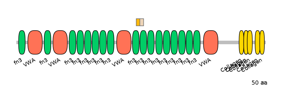 DreINT0049046-EXC