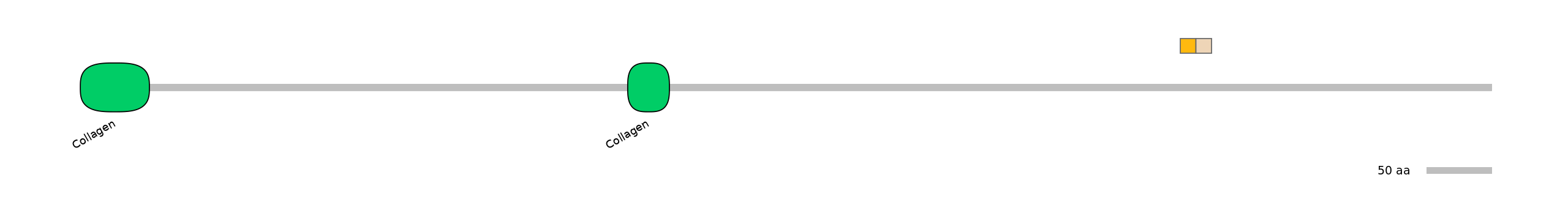 DreINT0049518-EXC