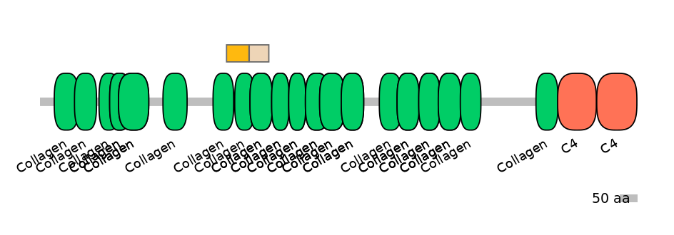 DreINT0049826-EXC