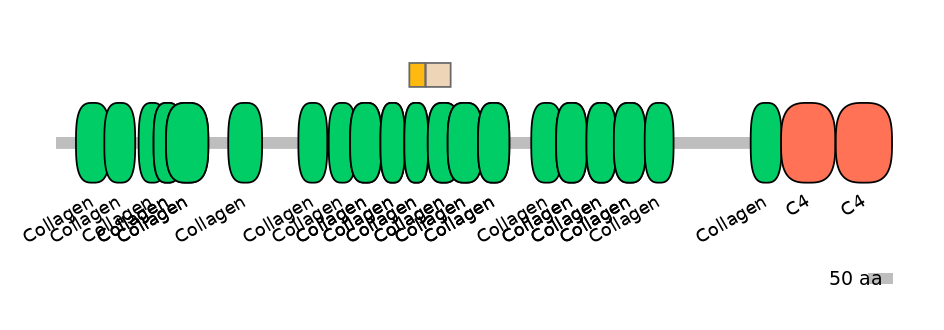 DreINT0049830-EXC