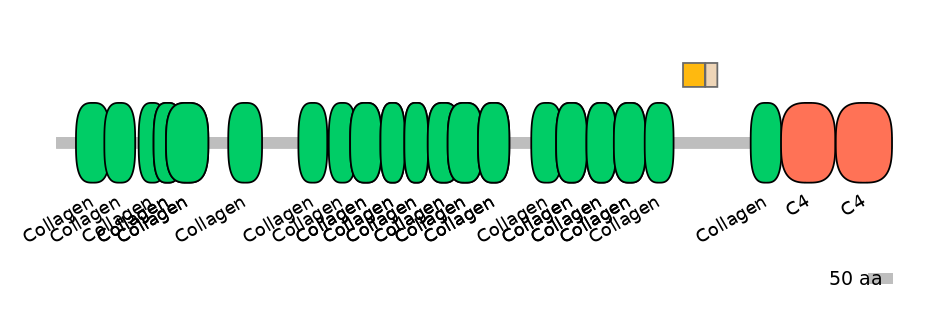 DreINT0049844-EXC