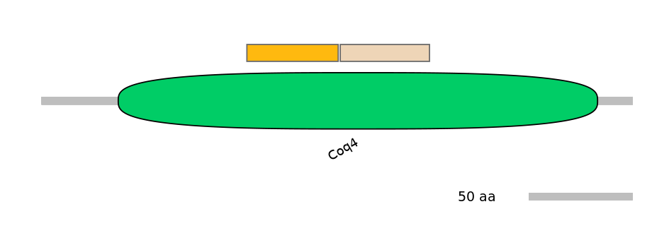 DreINT0050873-EXC