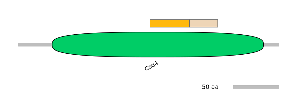 DreINT0050874-EXC