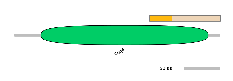 DreINT0050875-EXC