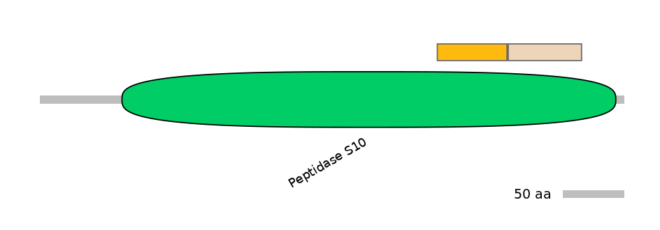 DreINT0051630-EXC