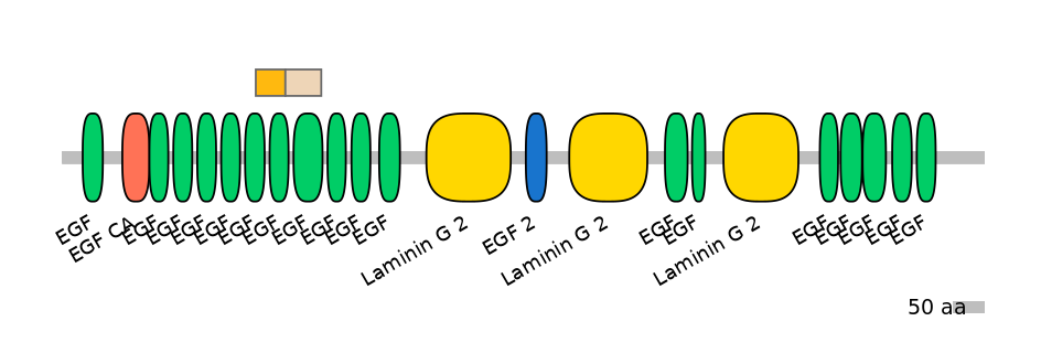 DreINT0051775-EXC