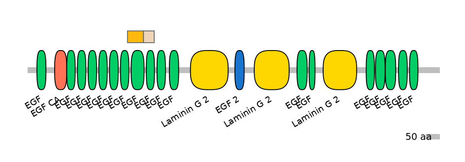 DreINT0051776-EXC