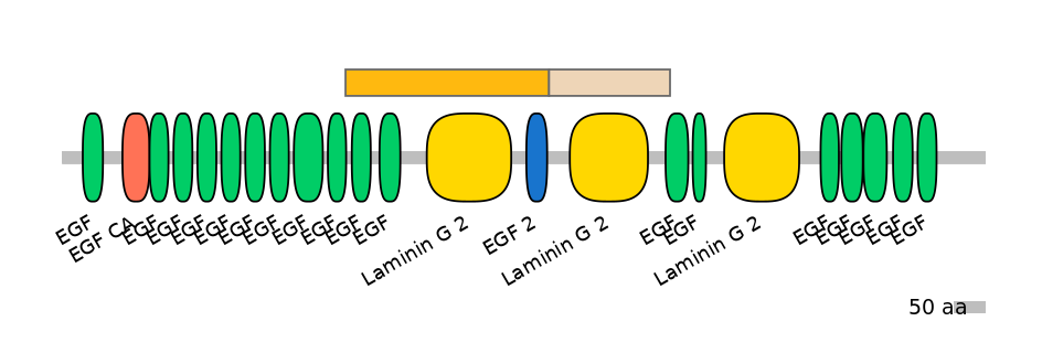 DreINT0051778-EXC