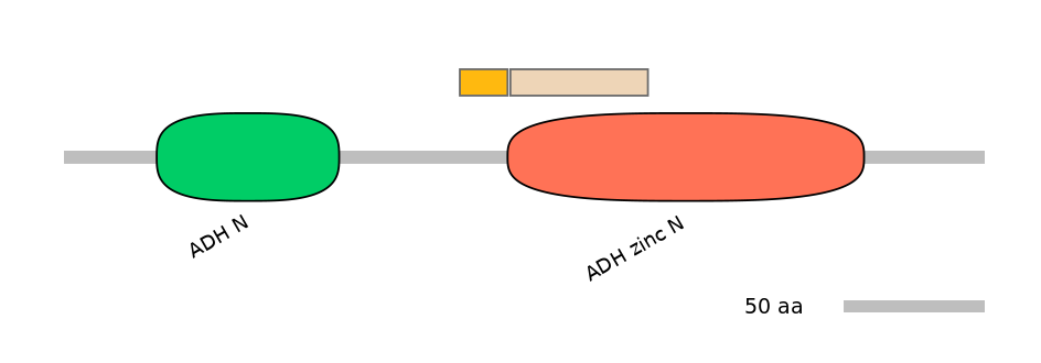 DreINT0052434-EXC
