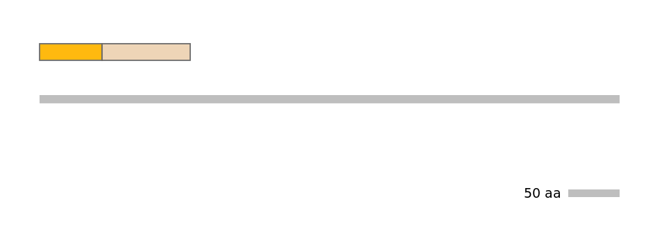 DreINT0052812-EXC