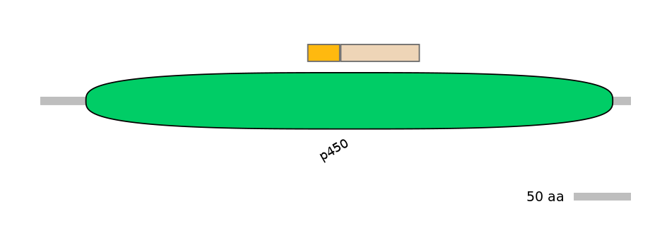 DreINT0054107-EXC