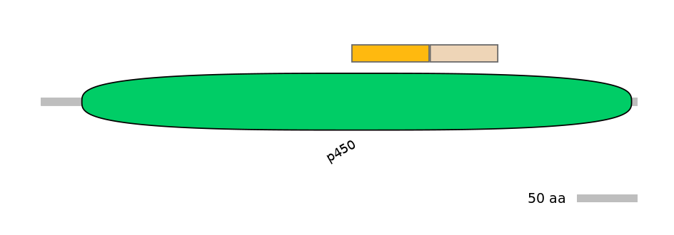 DreINT0054116-EXC