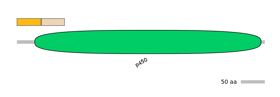 DreINT0054403-EXC