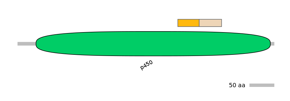 DreINT0054404-EXC