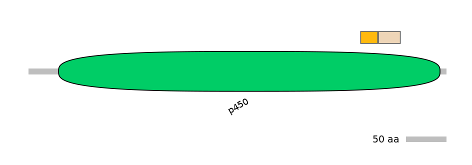 DreINT0054406-EXC