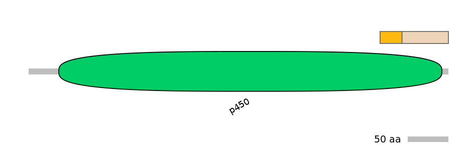 DreINT0054407-EXC
