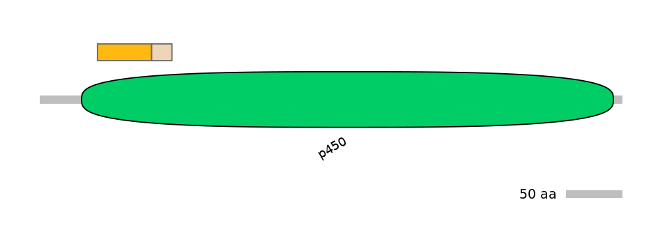 DreINT0054408-EXC