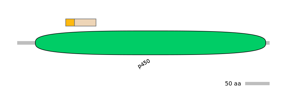 DreINT0054409-EXC