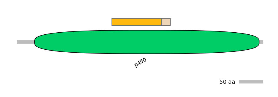 DreINT0054414-EXC