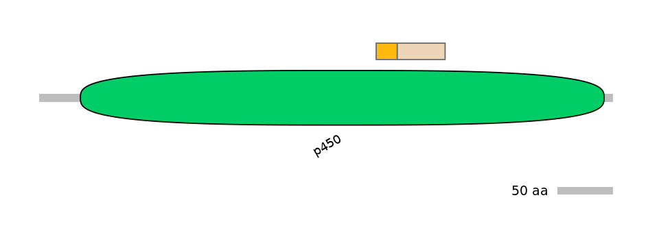 DreINT0054415-EXC
