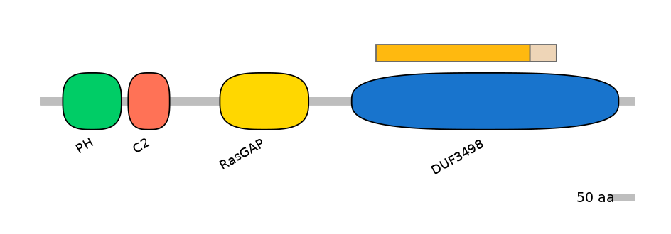 DreINT0054612-EXC