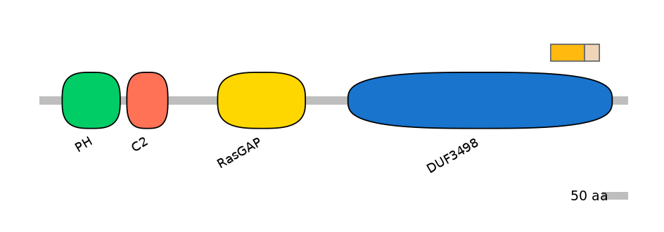 DreINT0054614-EXC